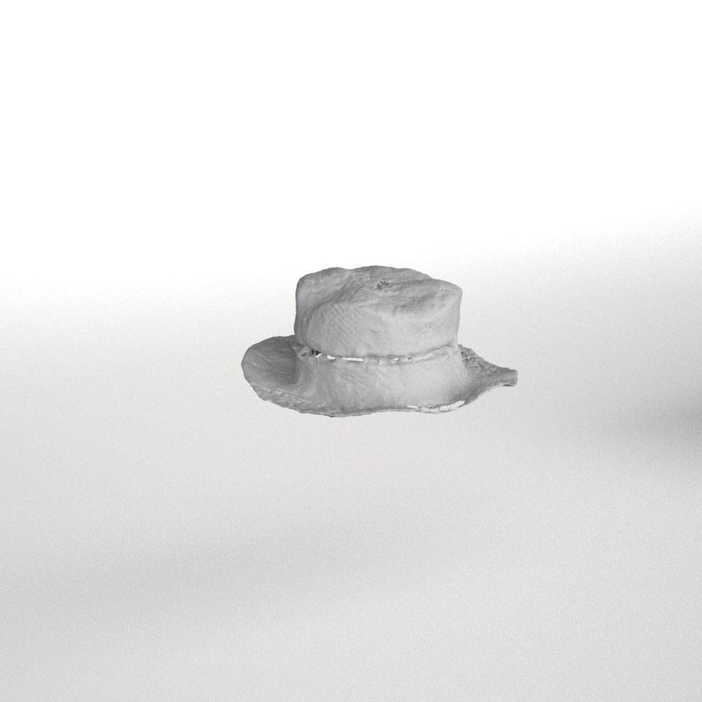 Hat Collection Total 42 Hats From All Fields NFT and Game Ready Low-poly 3D model_32