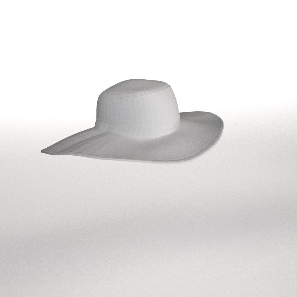 Hat Collection Total 42 Hats From All Fields NFT and Game Ready Low-poly 3D model_28