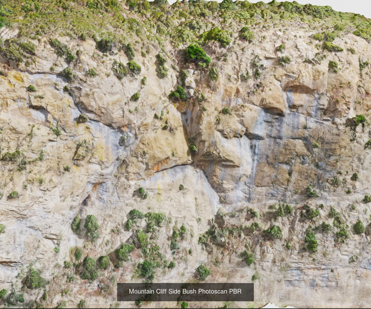 Cliff 3D Models in Pers Scan Collection _23