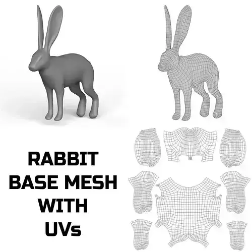 Rabbit Base Mesh