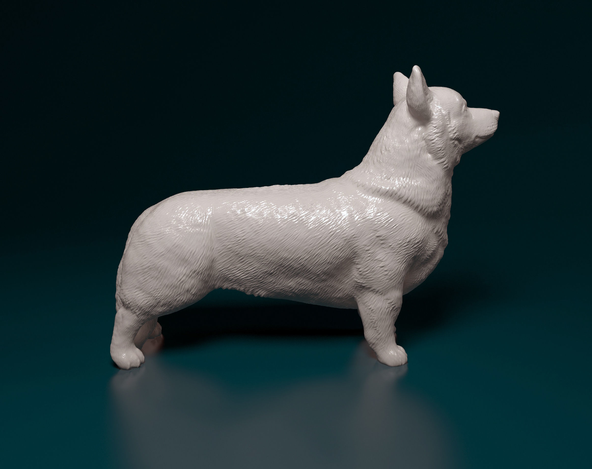 Welsh Corgi Pembroke  3D print model_2