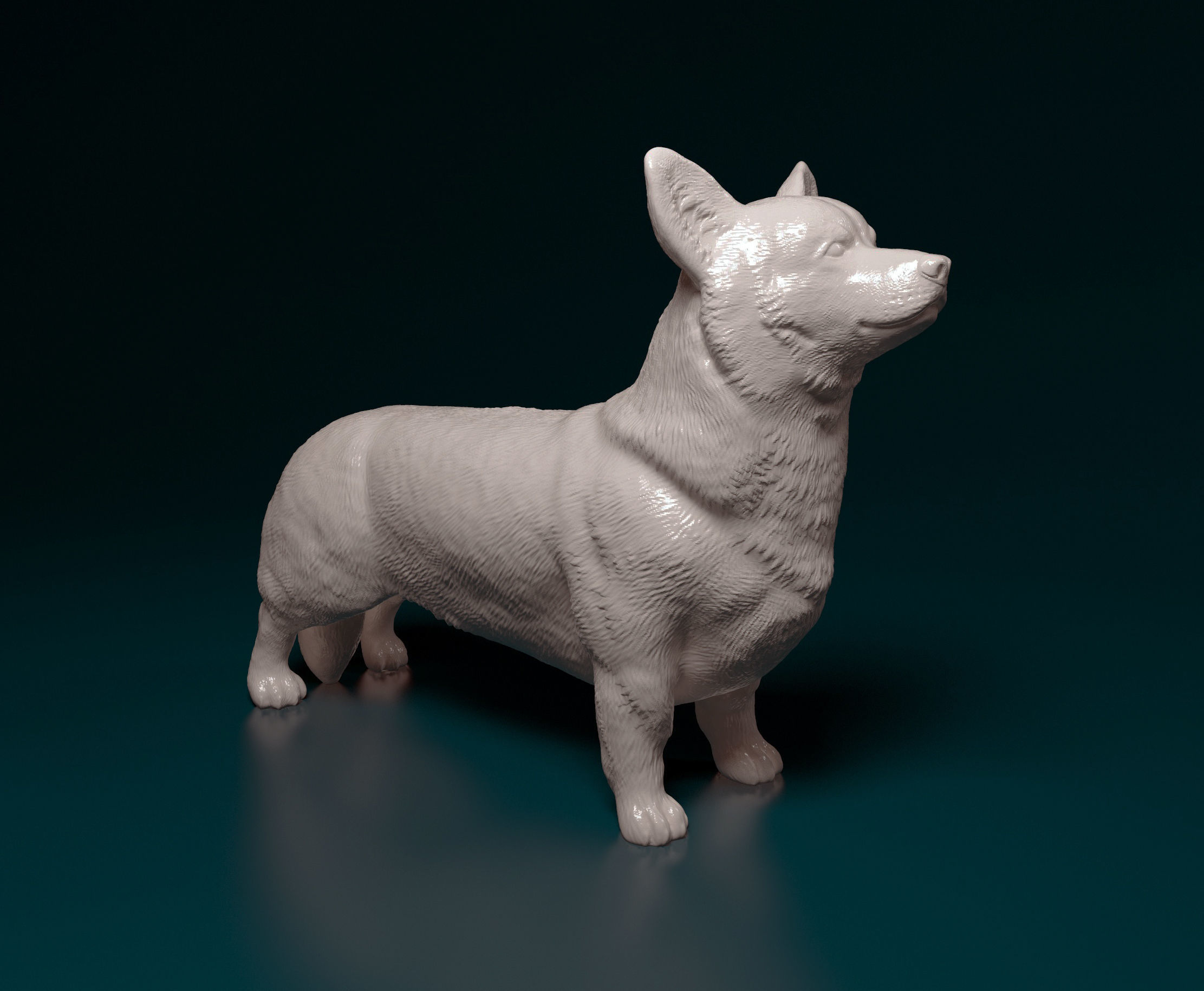 Welsh Corgi Pembroke  3D print model_1
