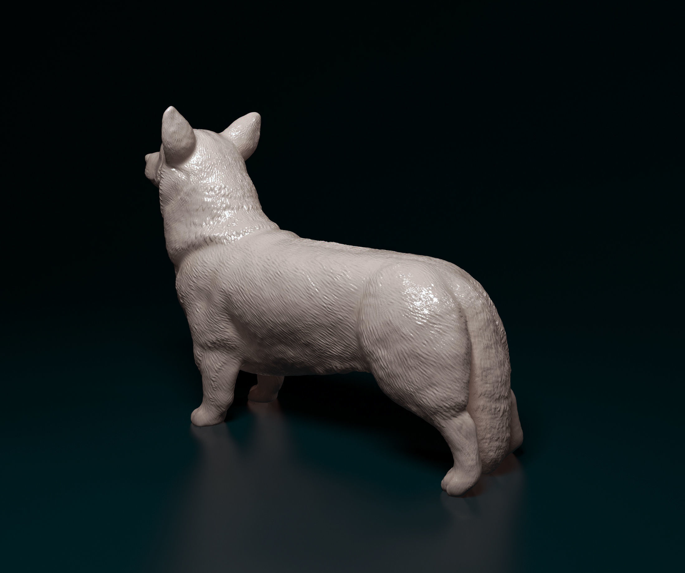 Welsh Corgi Pembroke  3D print model_5