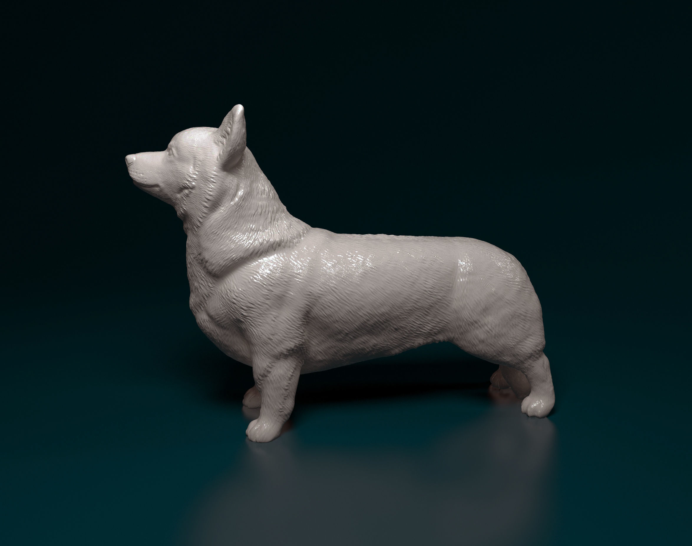 Welsh Corgi Pembroke  3D print model_6