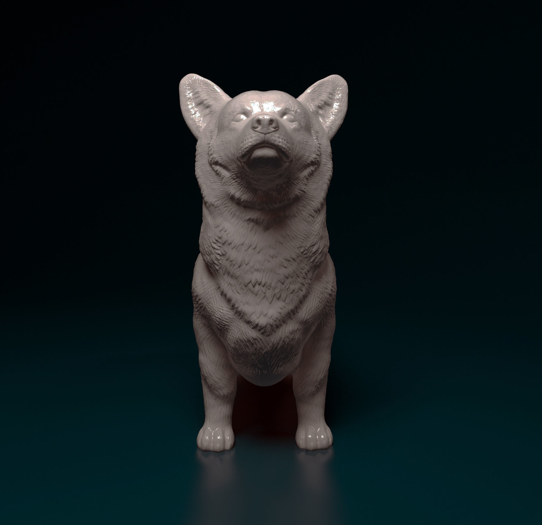 Welsh Corgi Pembroke  3D print model_8