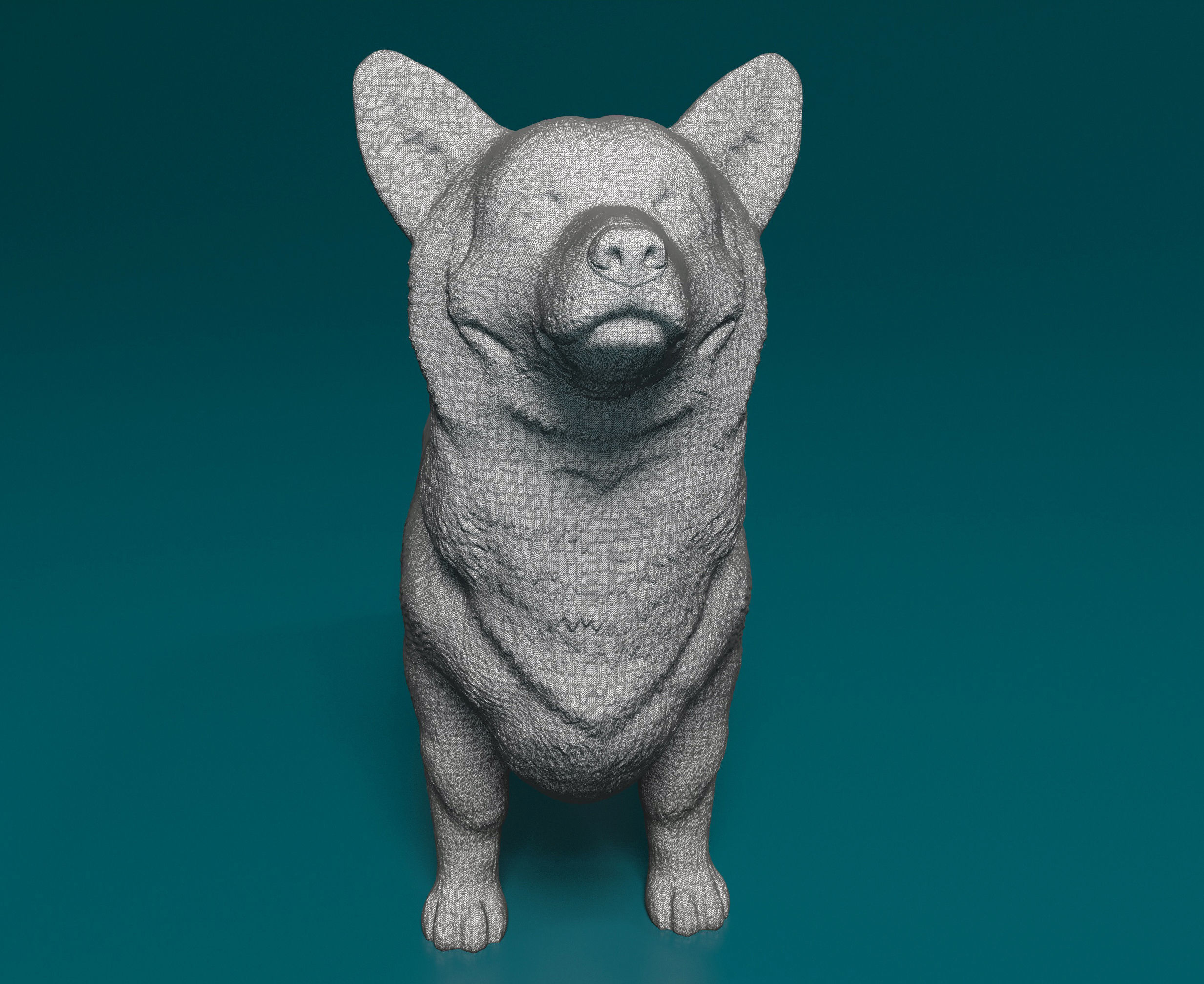 Welsh Corgi Pembroke  3D print model_9