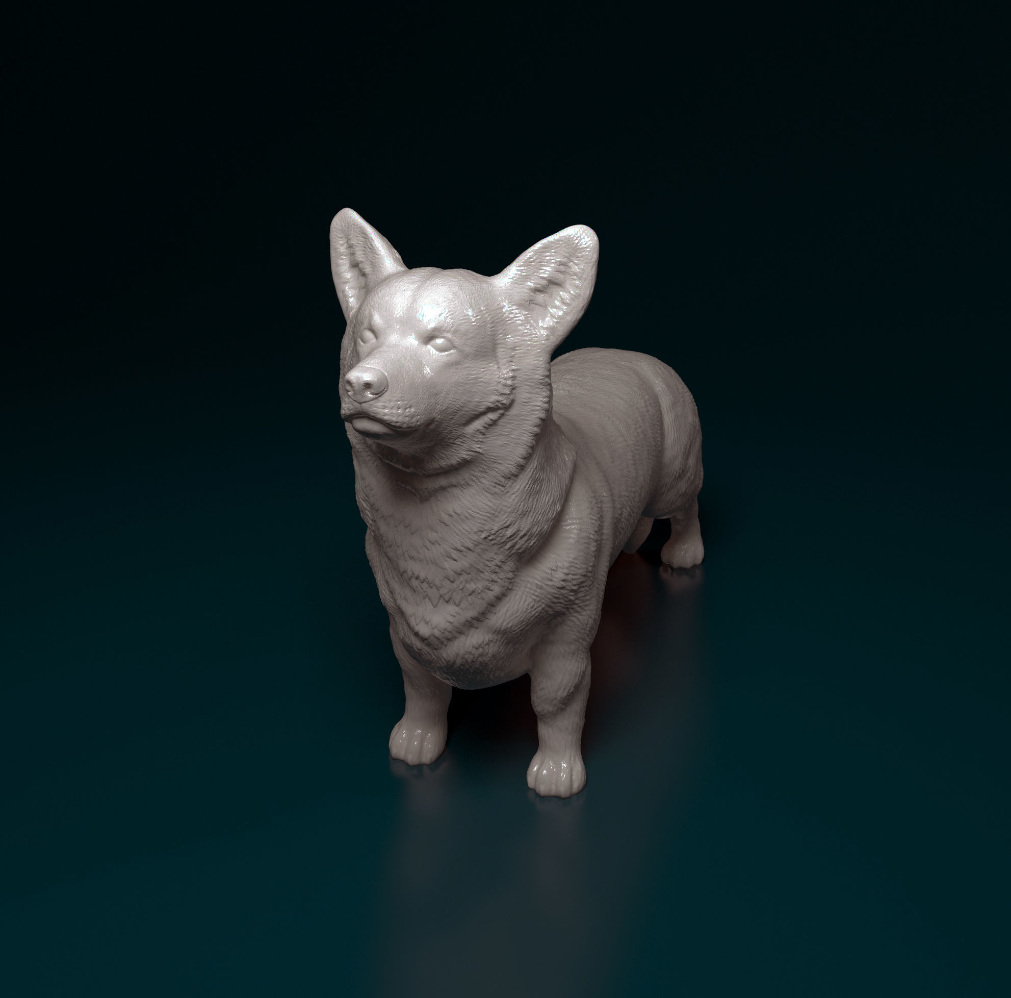 Welsh Corgi Pembroke  3D print model_7