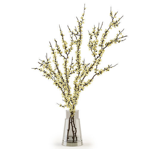 Branches in a vase 017 3D model