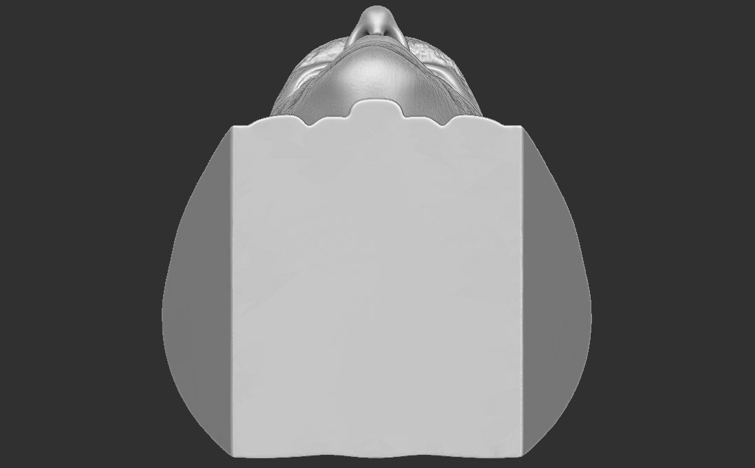 Ryan Reynolds bust for 3D printing 3D print model_25