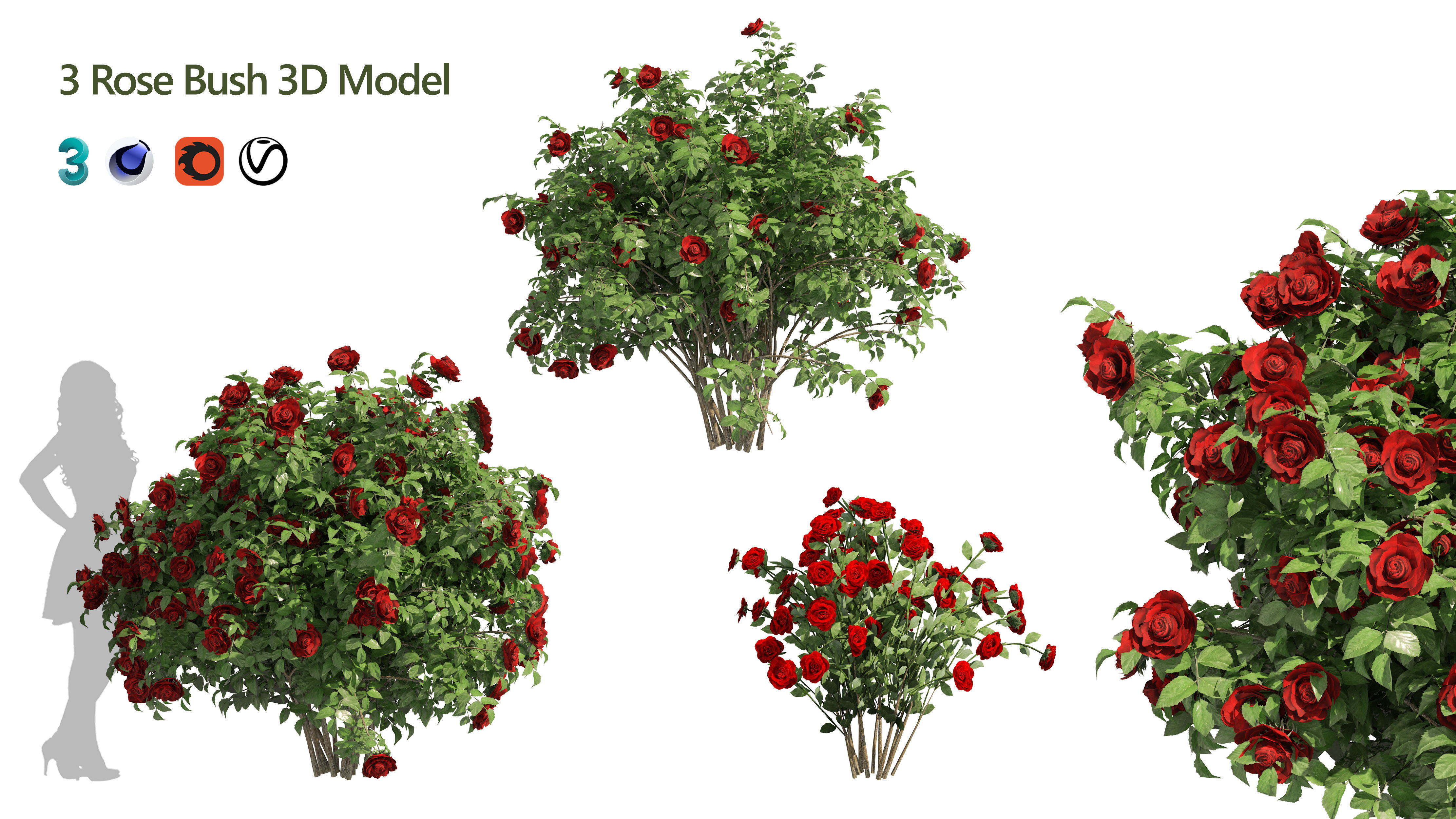 3 Red Rose Flower Bush Low Poly Low-poly 3D model_5