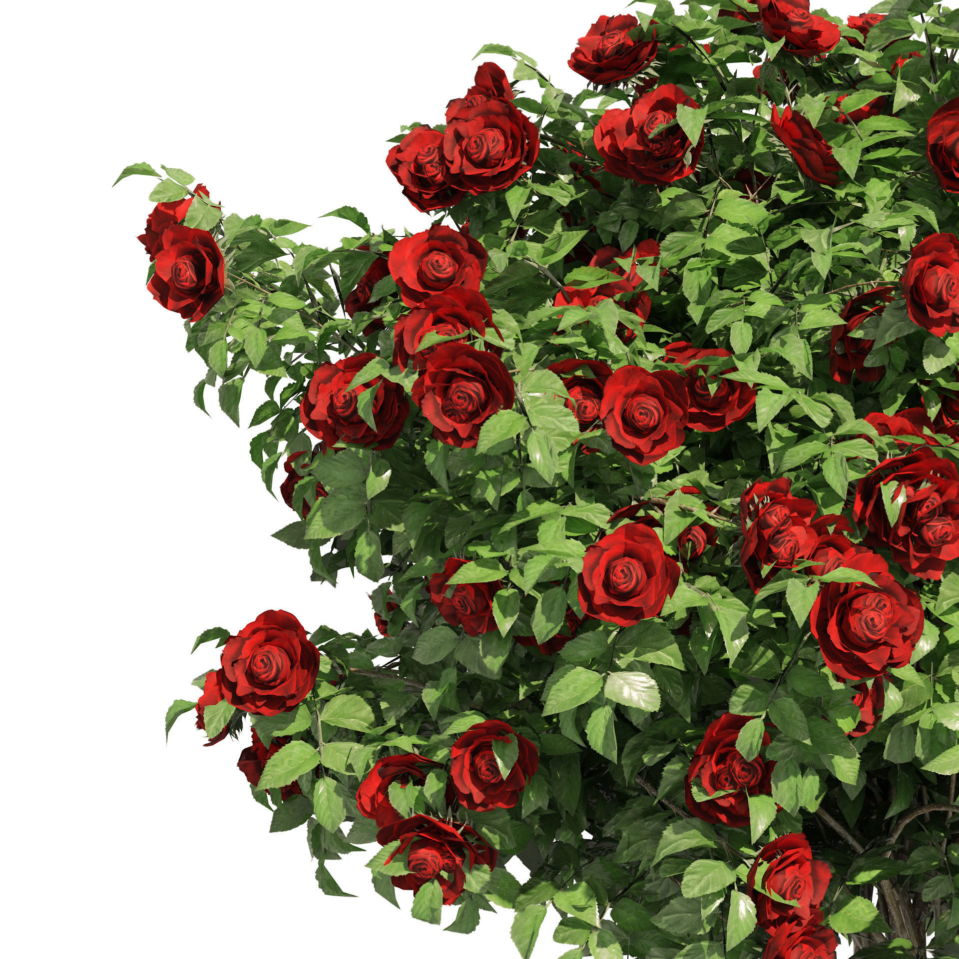 3 Red Rose Flower Bush Low Poly Low-poly 3D model_4