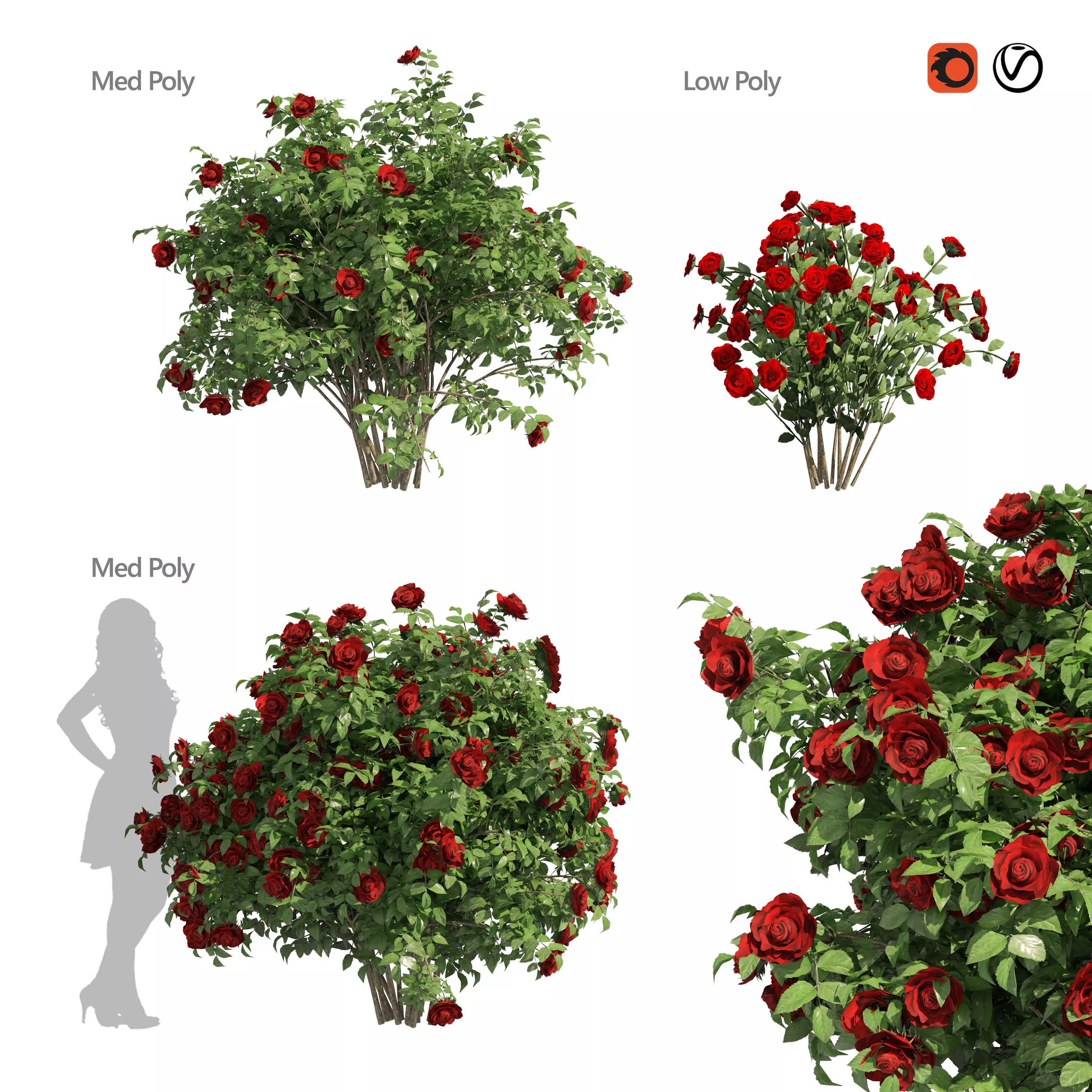 3 Red Rose Flower Bush Low Poly Low-poly 3D model_0