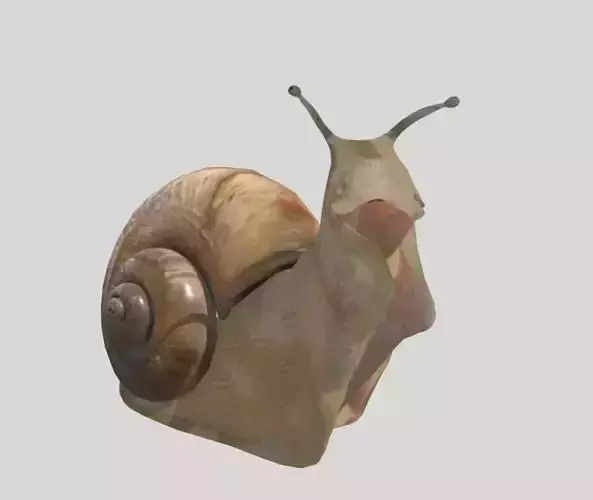 Snail Animated Free low-poly 3D model