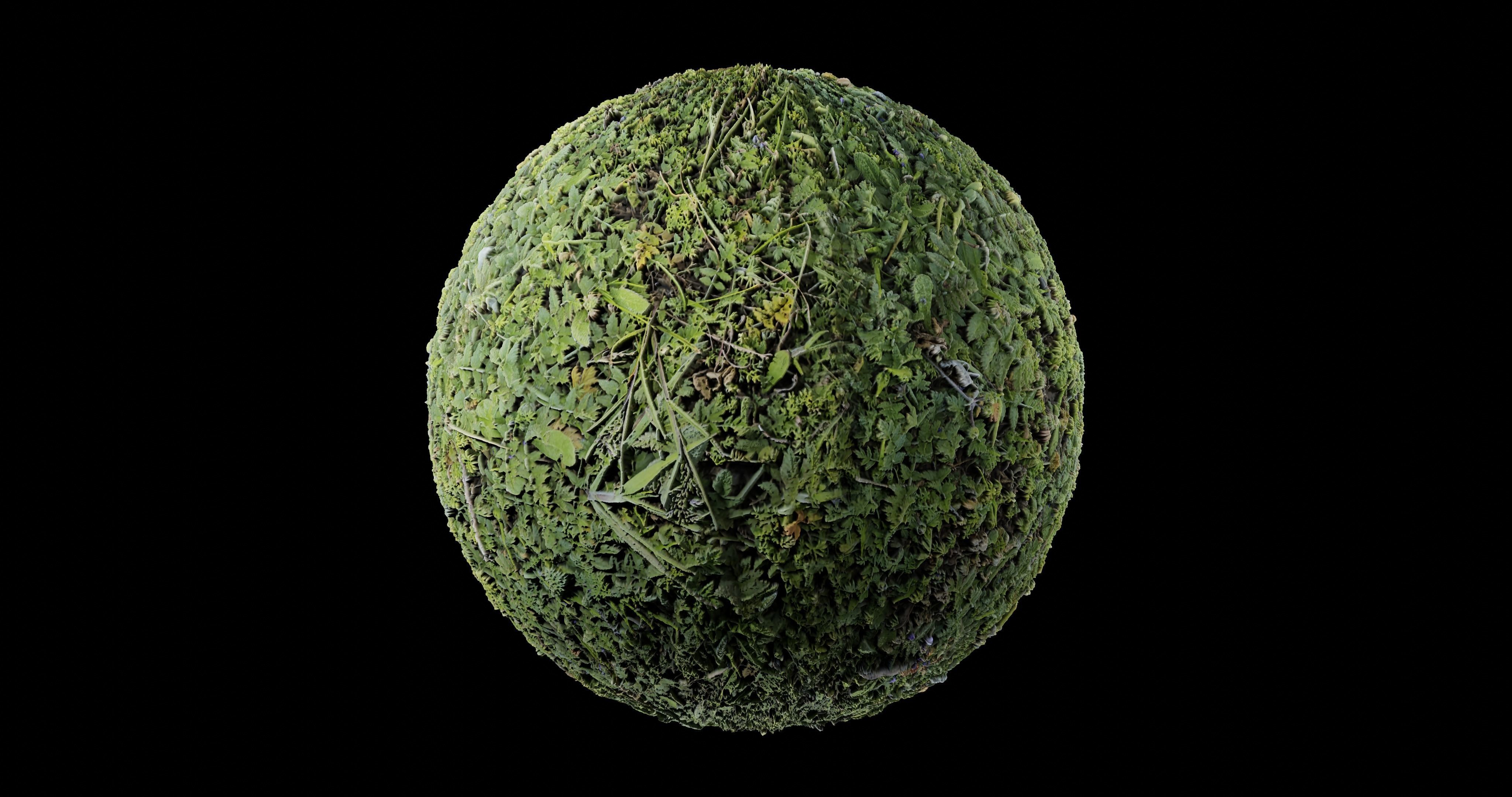 Low Vegetation 4 Texture_1