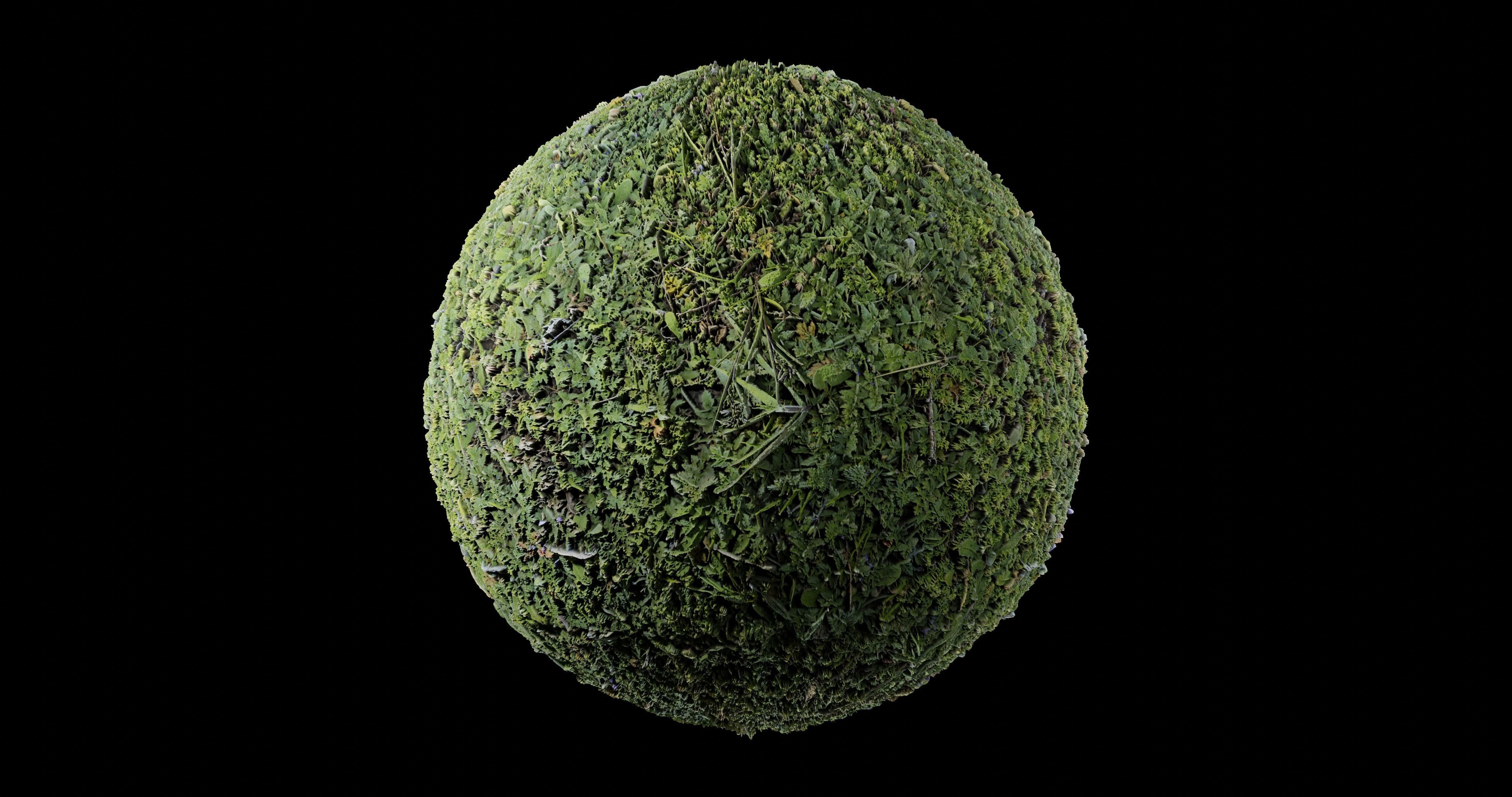 Low Vegetation 4 Texture_2