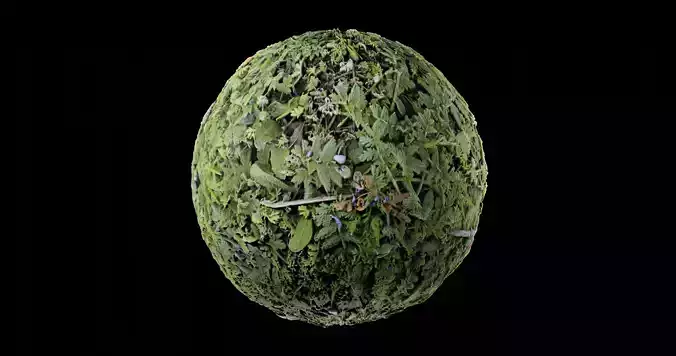 Low Vegetation 4 Texture