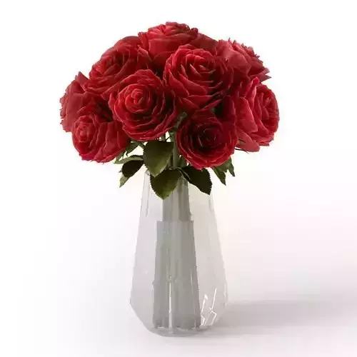 Beautiful Red Roses