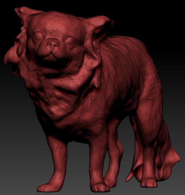 Chihuahua dog 24 Low-poly 3D model_7