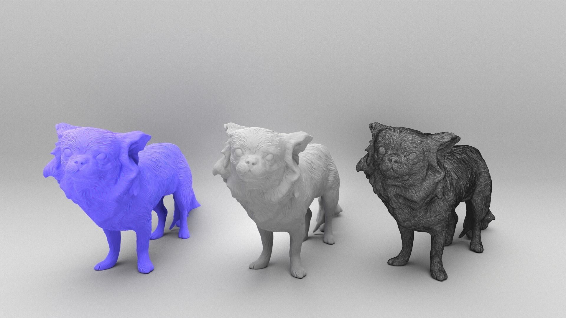 Chihuahua dog 24 Low-poly 3D model_4