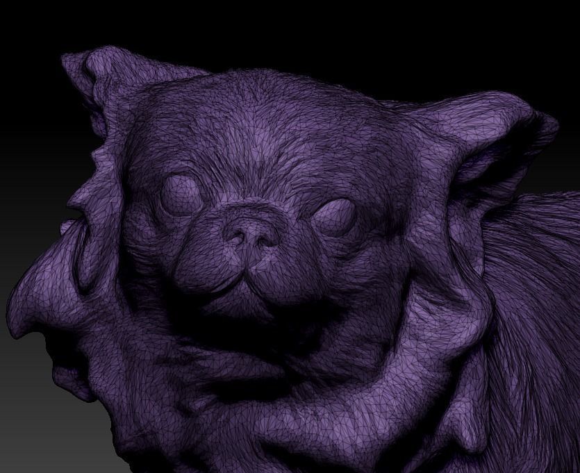 Chihuahua dog 24 Low-poly 3D model_6