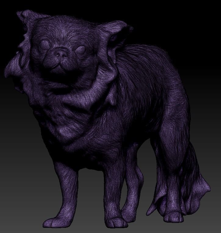 Chihuahua dog 24 Low-poly 3D model_5