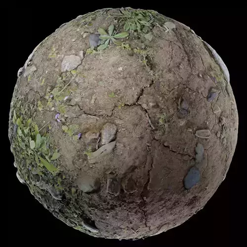 Low Vegetation 5 Texture