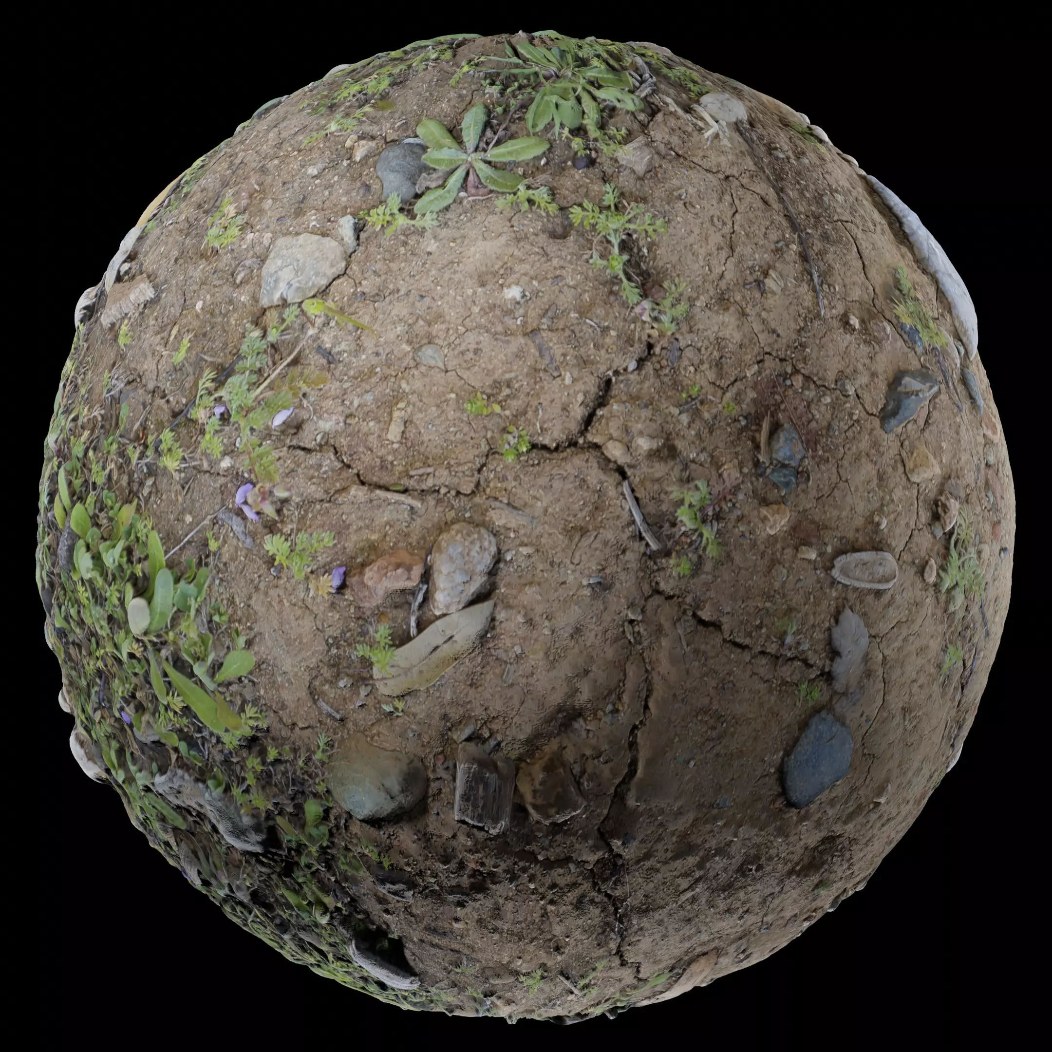 Low Vegetation 5 Texture_0