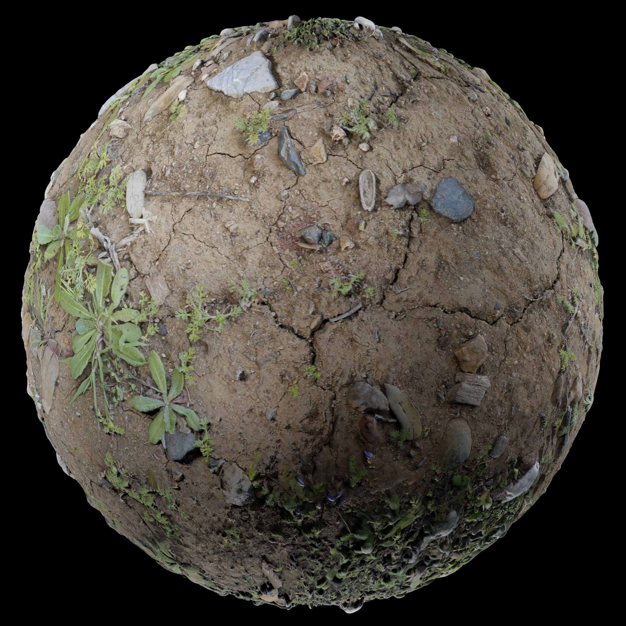 Low Vegetation 5 Texture_2