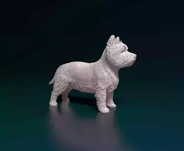 West highland white terrier 3D print model