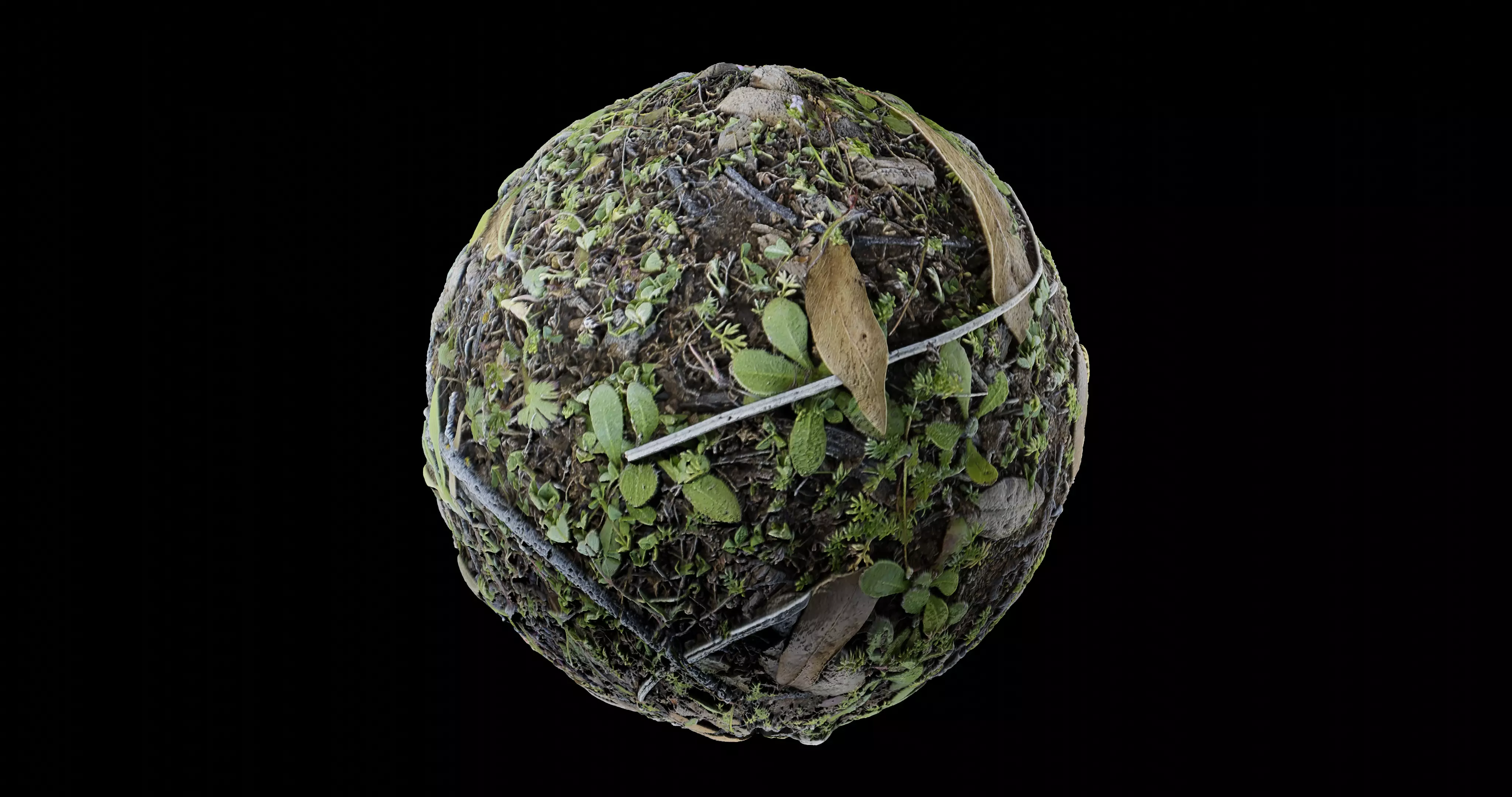 Low Vegetation 6 Texture_0