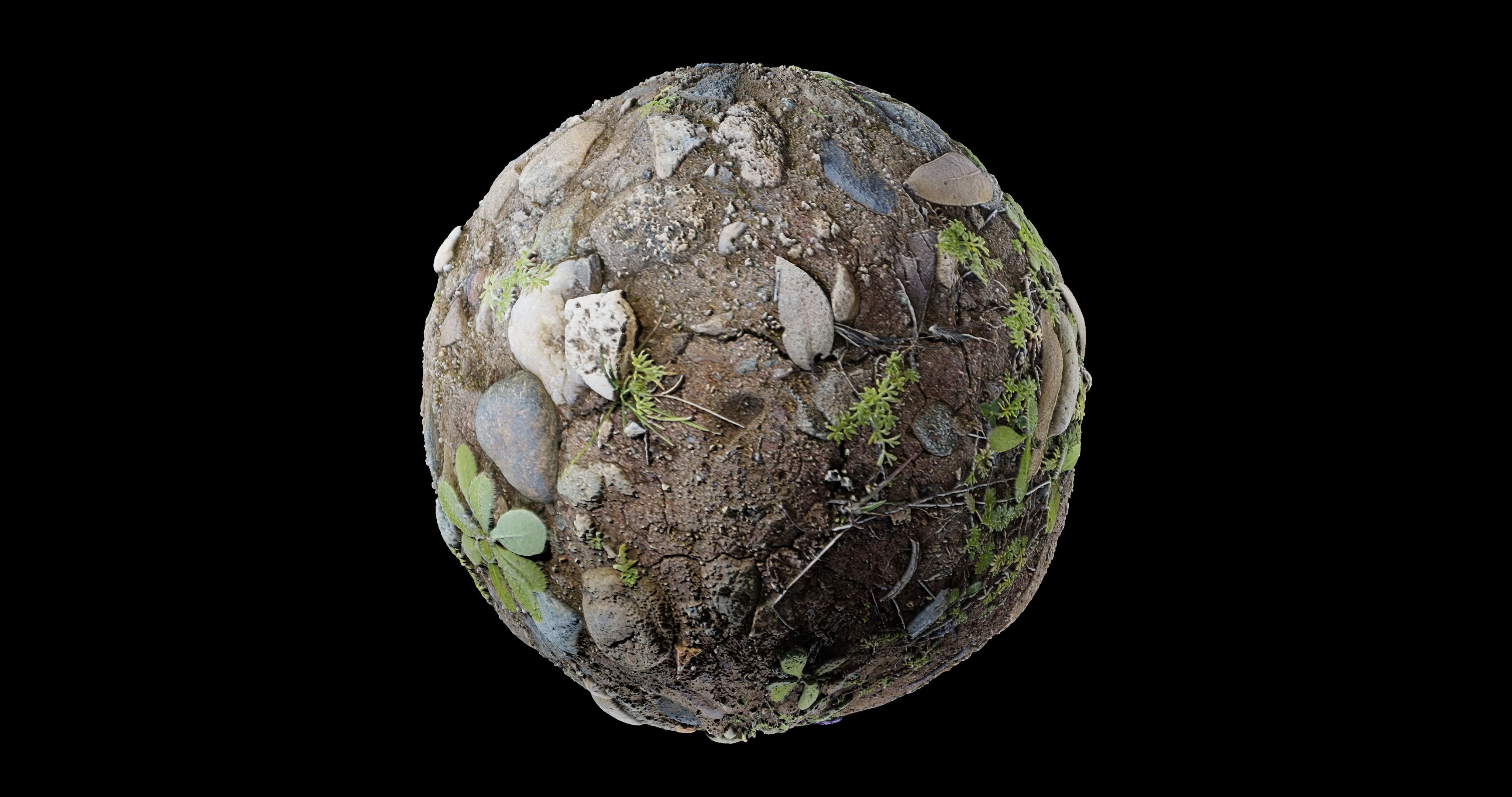 Low Vegetation 6 Texture_1