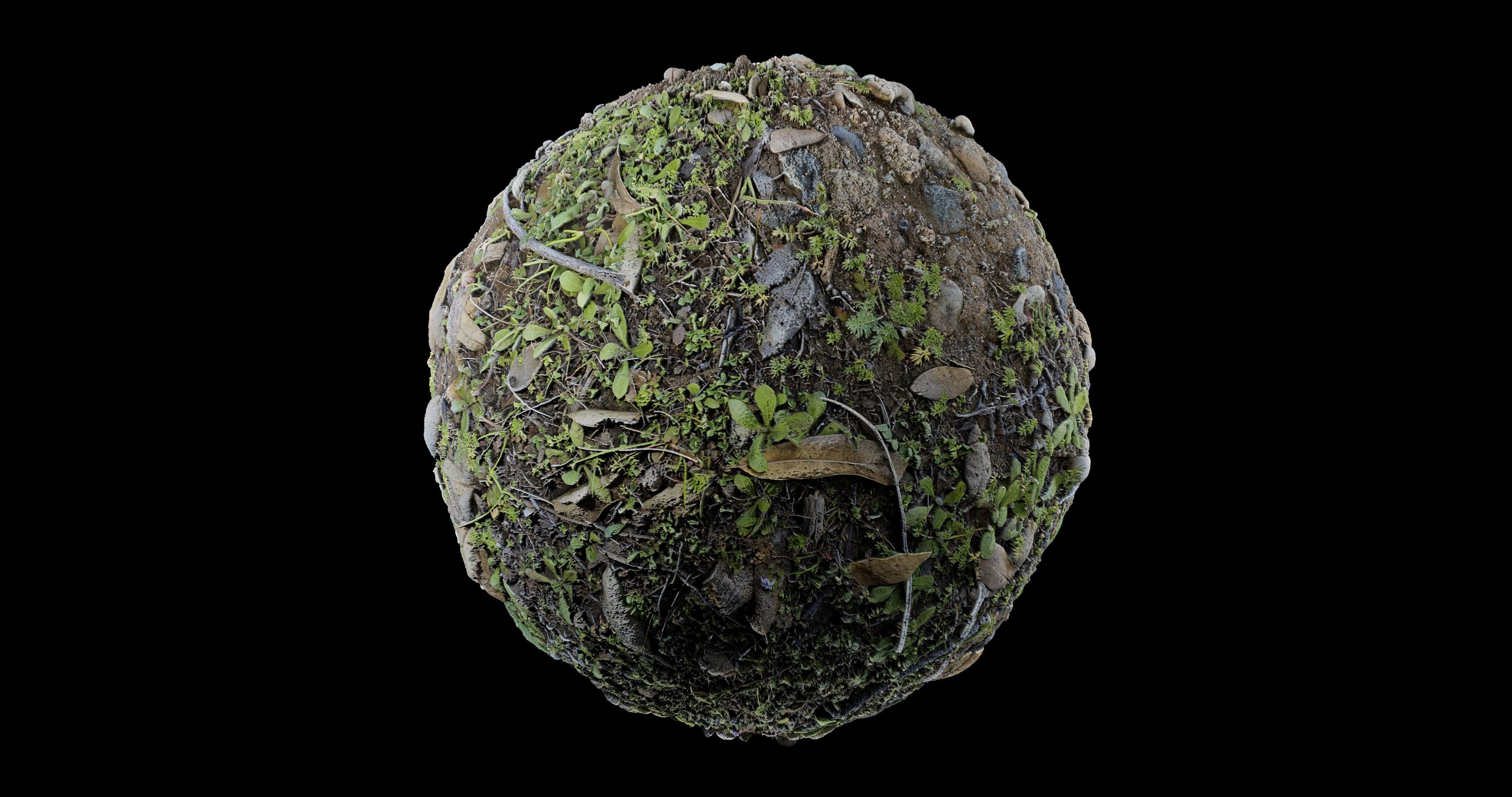 Low Vegetation 6 Texture_2