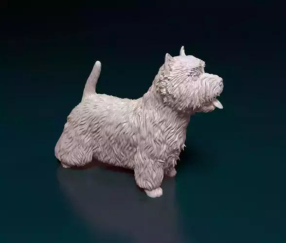 West highland white terrier with tongue 3D print model