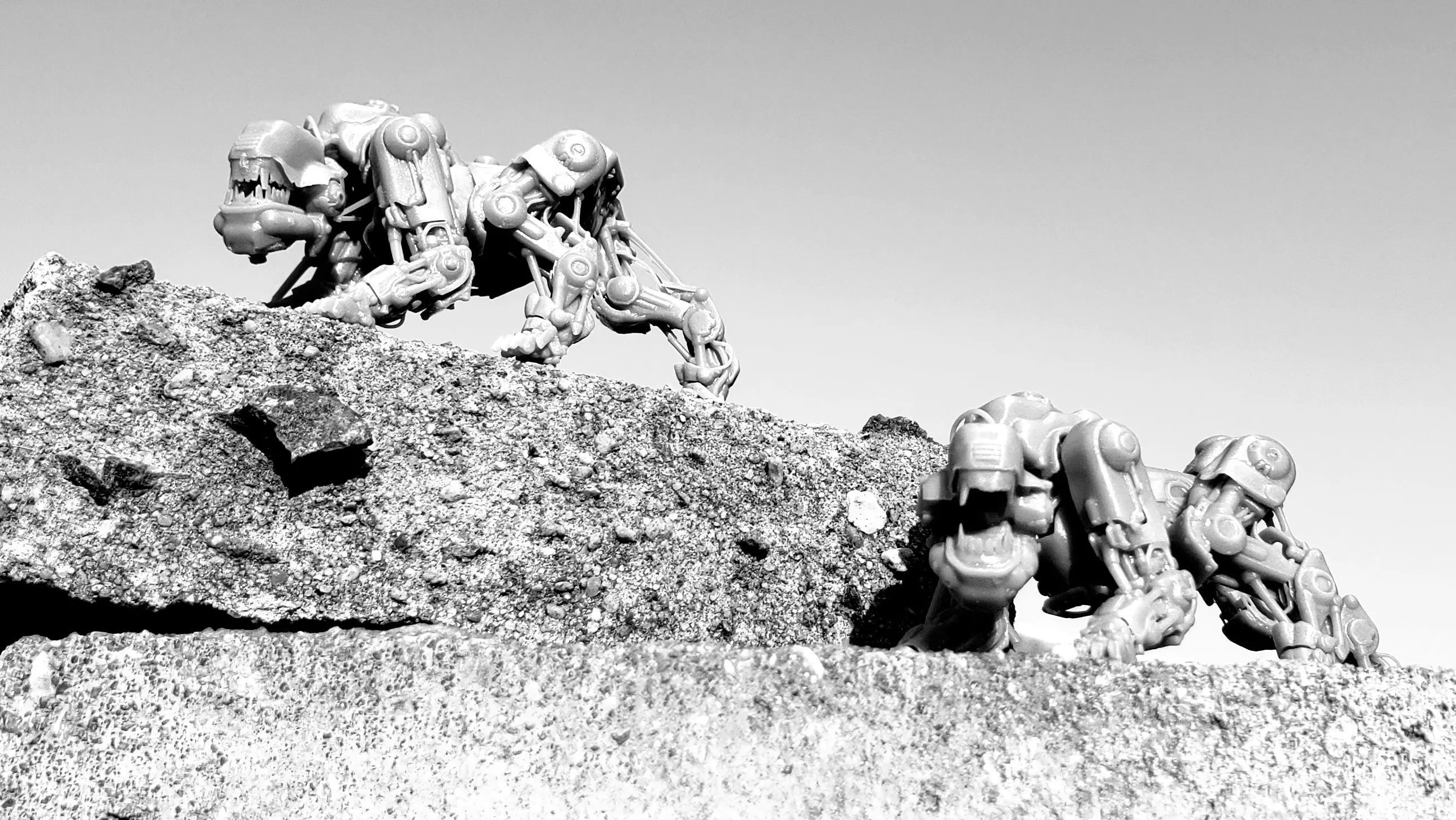 Panzerhund 1961 3D print model