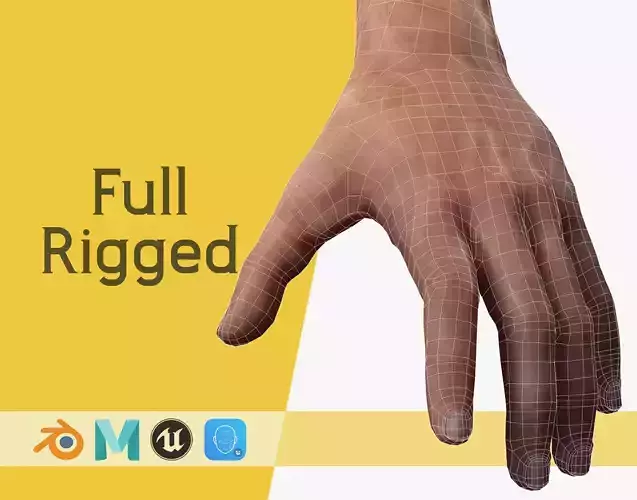 Realistic Hands left and right hand with 5 LODs  Low-poly 3D model