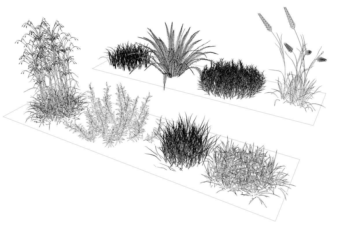 Herbage reeds and grass 3D model_4