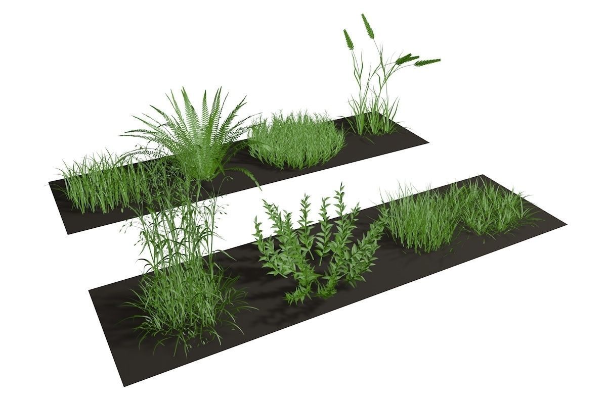 Herbage reeds and grass 3D model_1