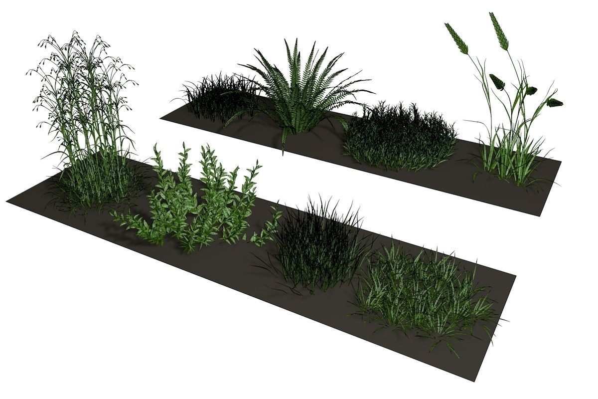 Herbage reeds and grass 3D model_3