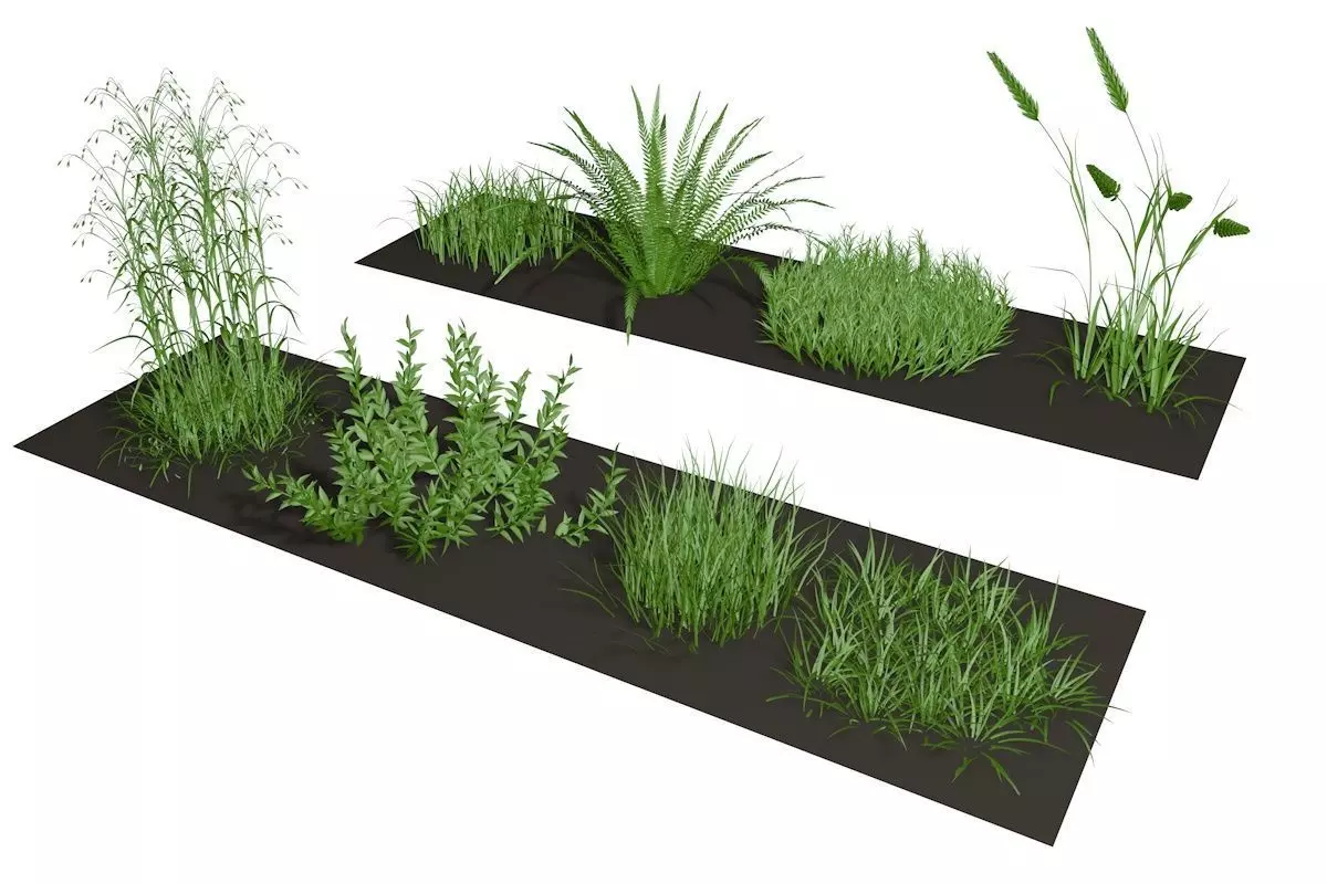 Herbage reeds and grass 3D model_0