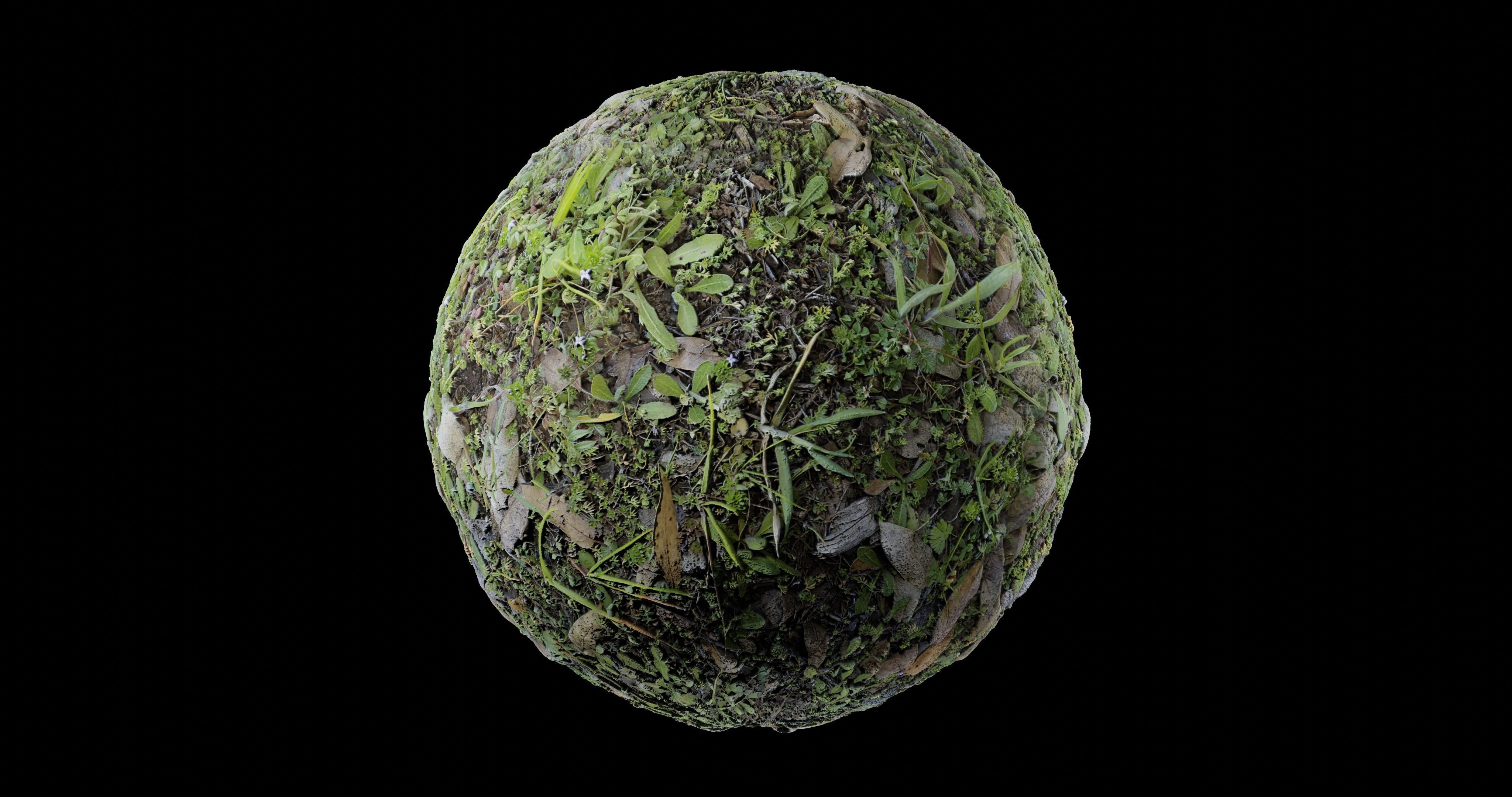 Low Vegetation 7 Texture_4