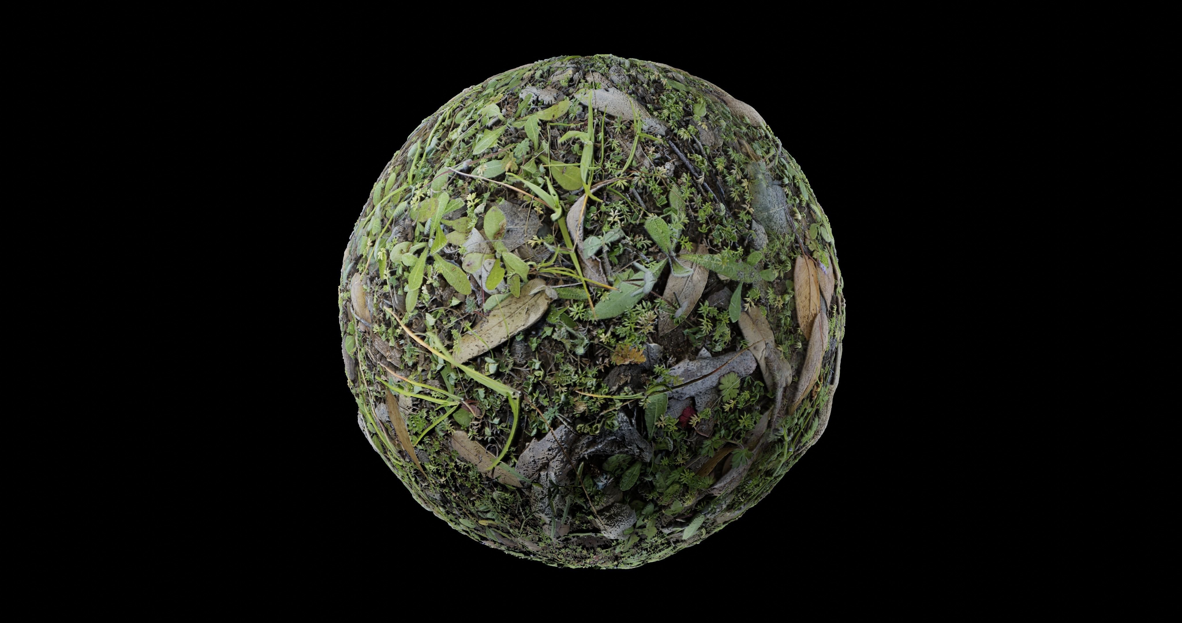 Low Vegetation 7 Texture_3