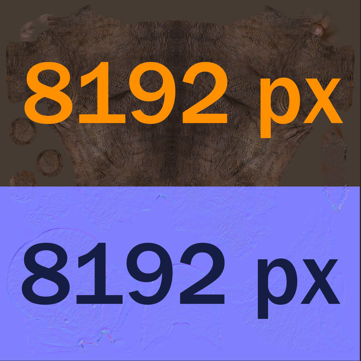 Triceratops Tribute - 8K 3D model_30