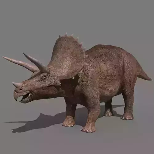 Triceratops Tribute - 8K 3D model