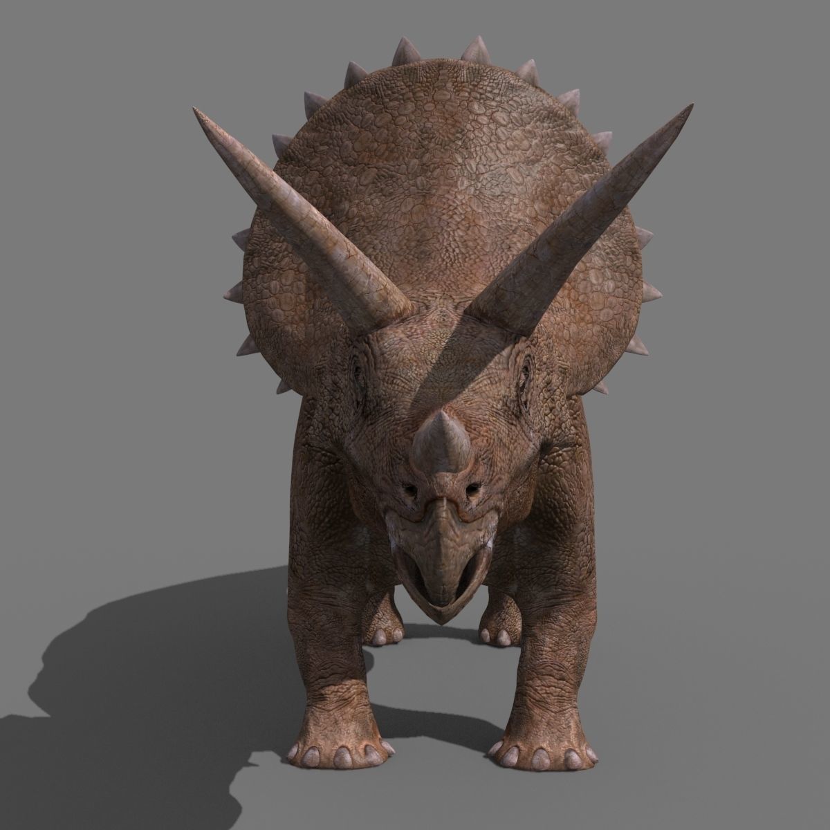 Triceratops Tribute - 8K 3D model_18