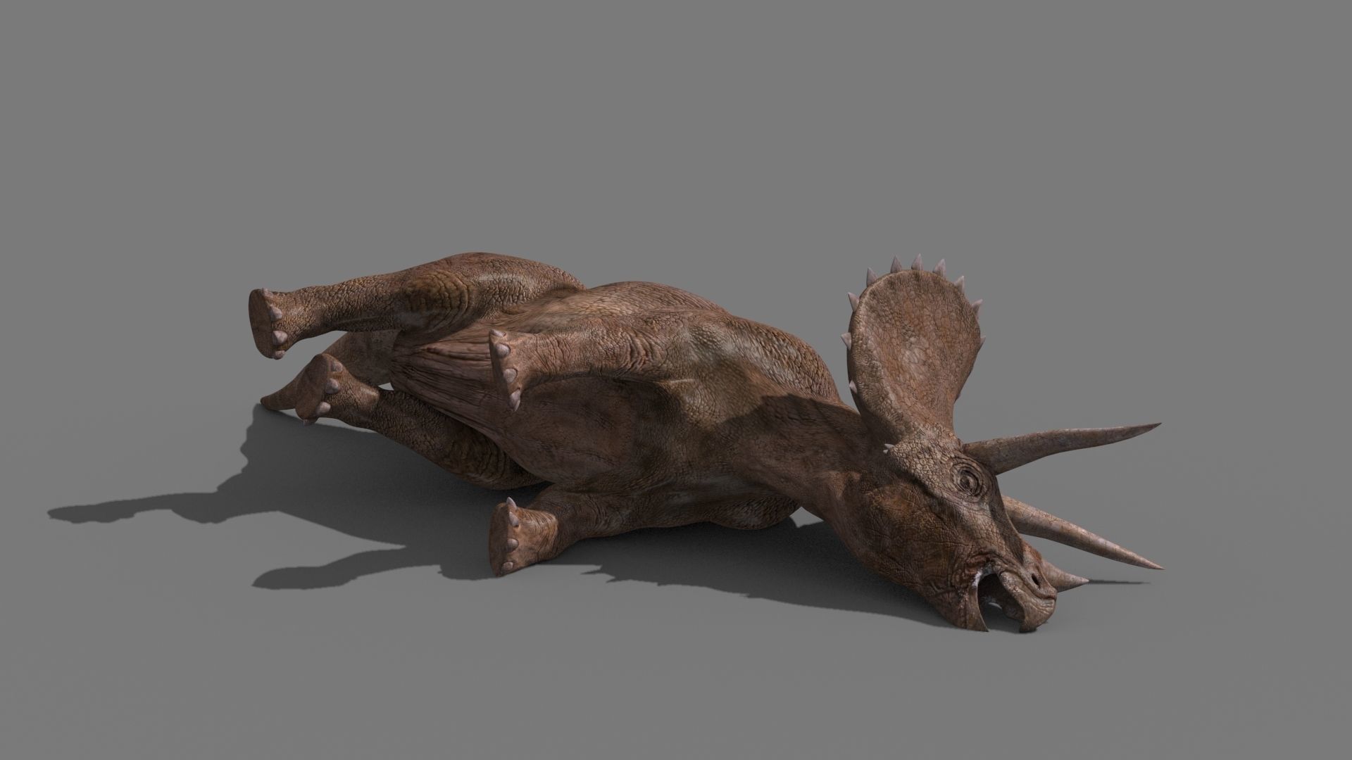 Triceratops Tribute - 8K 3D model_21