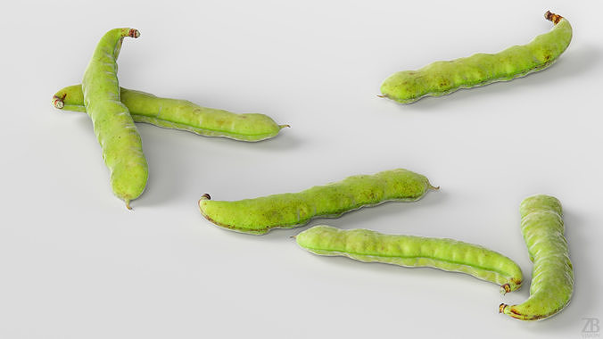 Bean pod 3D model 3