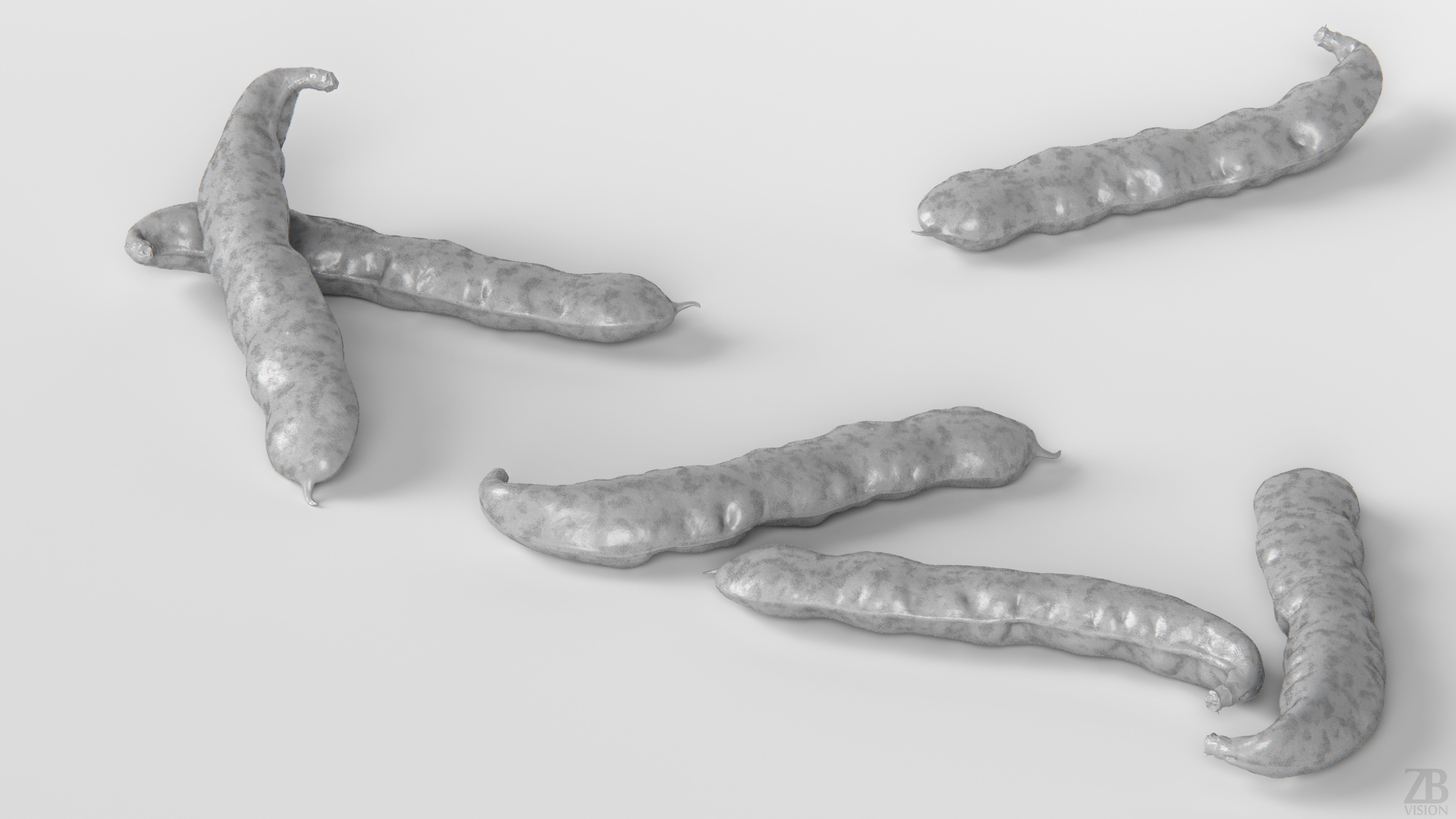 Bean pod 3D model_3