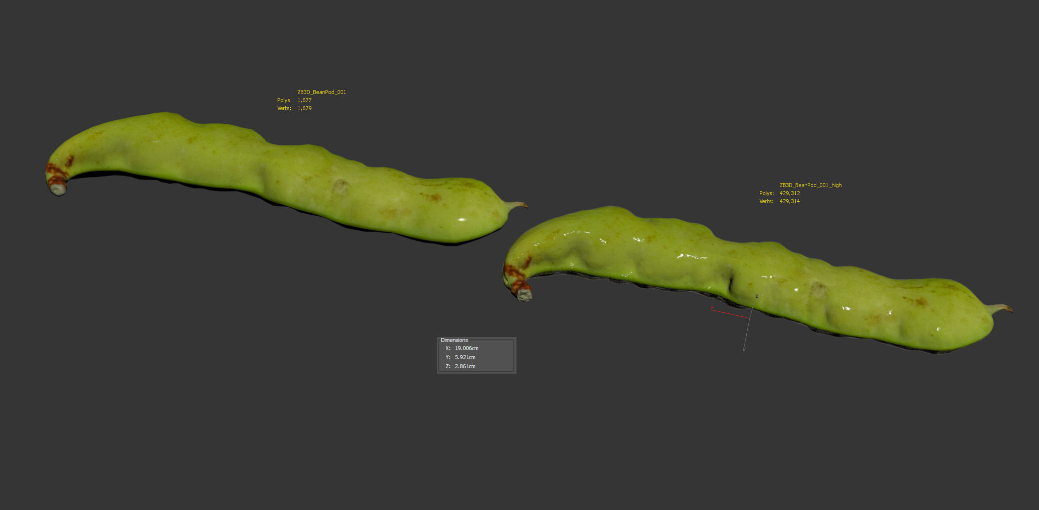 Bean pod 3D model_9