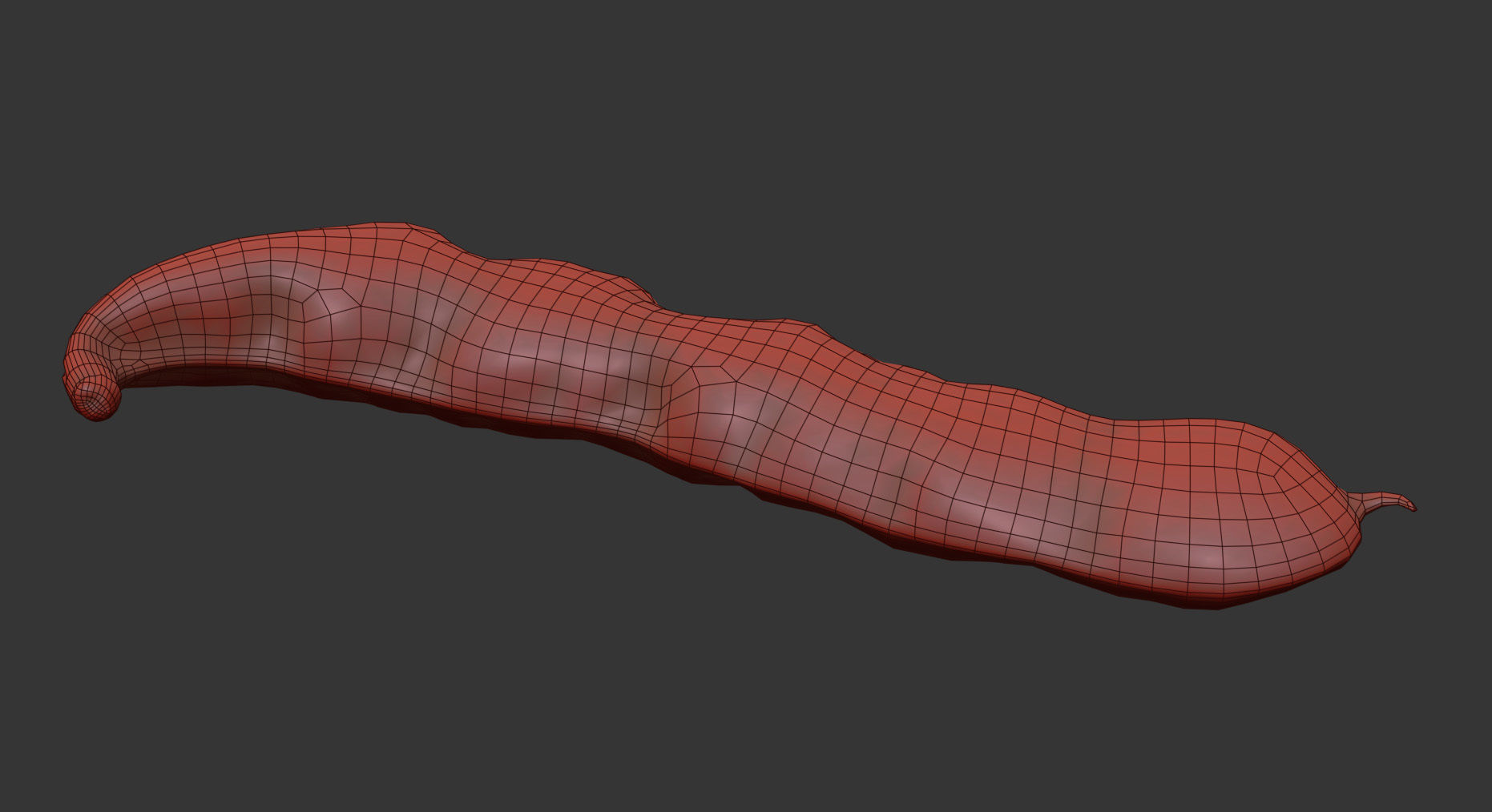 Bean pod 3D model_10