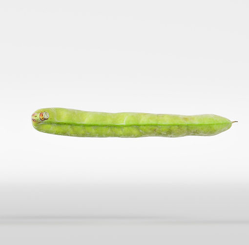 Bean pod 3D model 7